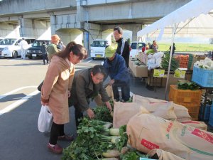 野菜等の販売