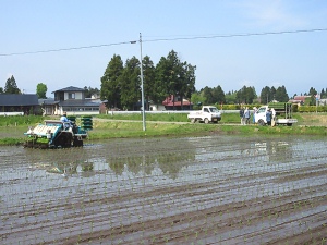 田植え風景