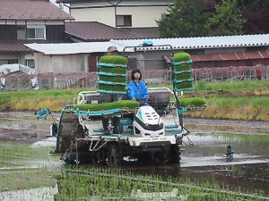 最新の自動操舵田植え機でスマート農業を体験