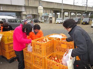 玉ねぎの詰め放題